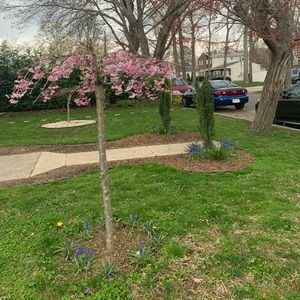 Meet your Posher, Fatima